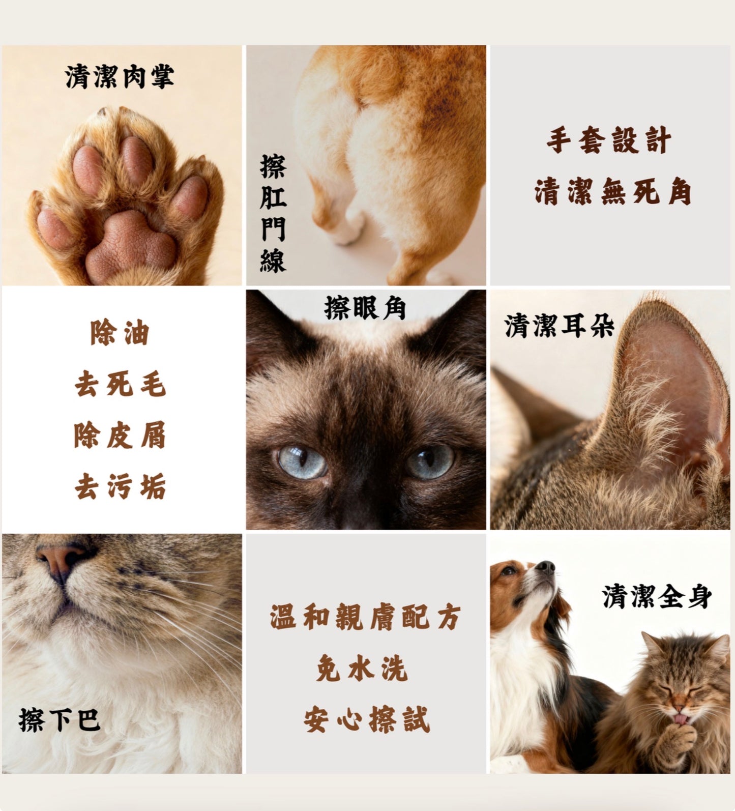 嘜豆 MAKTO －益生菌寵物濕紙巾(32片)
