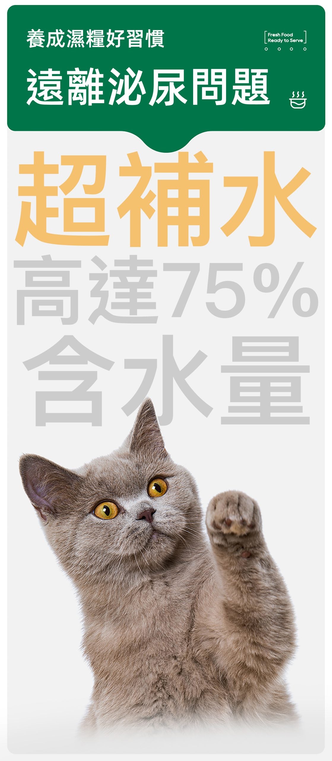 FOOD CHAIN 全營養貓用生骨肉主食醬包 80g