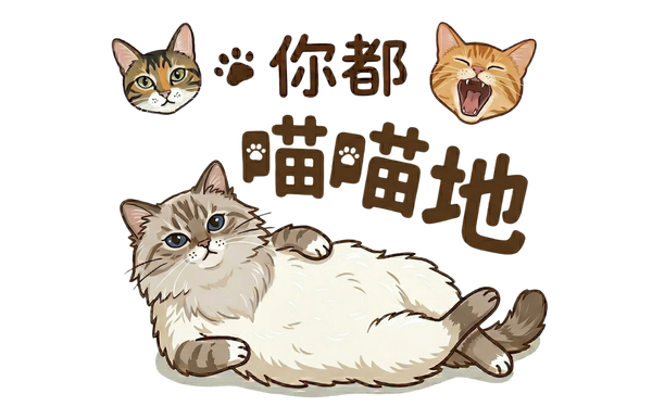 MeowMeowDay